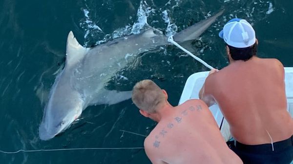 Fishing Destin Florida | 5HR Inshore Shark Fishing