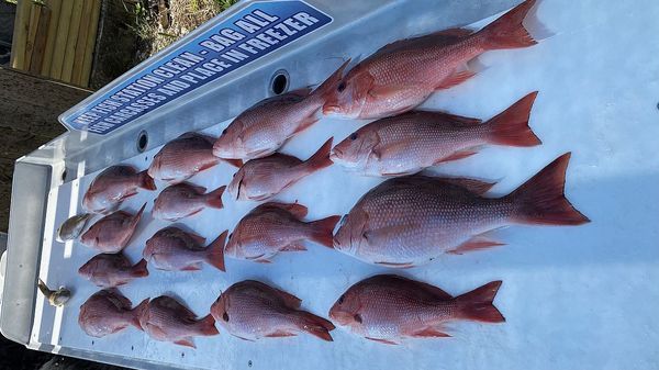 Florida Fishing Charters Destin | 5HR Wrecks Fishing